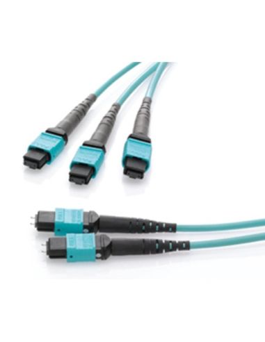 12-Fibre Om4 Multimode 3.0 Metre Hffr-Lseuroclass Eca Harness, Method B-Core, 12-Fibremale Mtp Connector To 0.5M Tails With